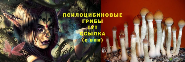 гидропоника Тихвин