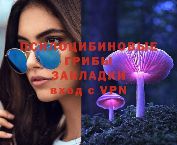 ГАЛЛЮЦИНОГЕННЫЕ ГРИБЫ Тобольск