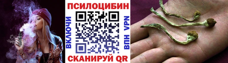 Псилоцибиновые грибы ЛСД Белоярский
