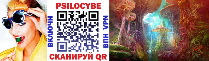 Купить где  Белоярский  Псилоцибиновые грибы Psilocybine cubensis 